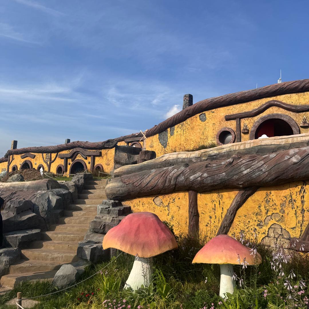 张狮安好农业-小李