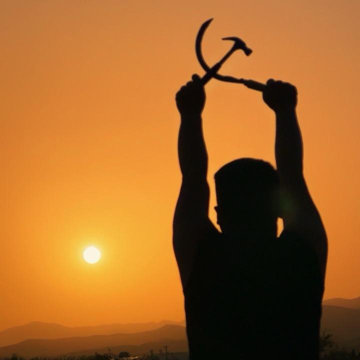 我的老板是王总