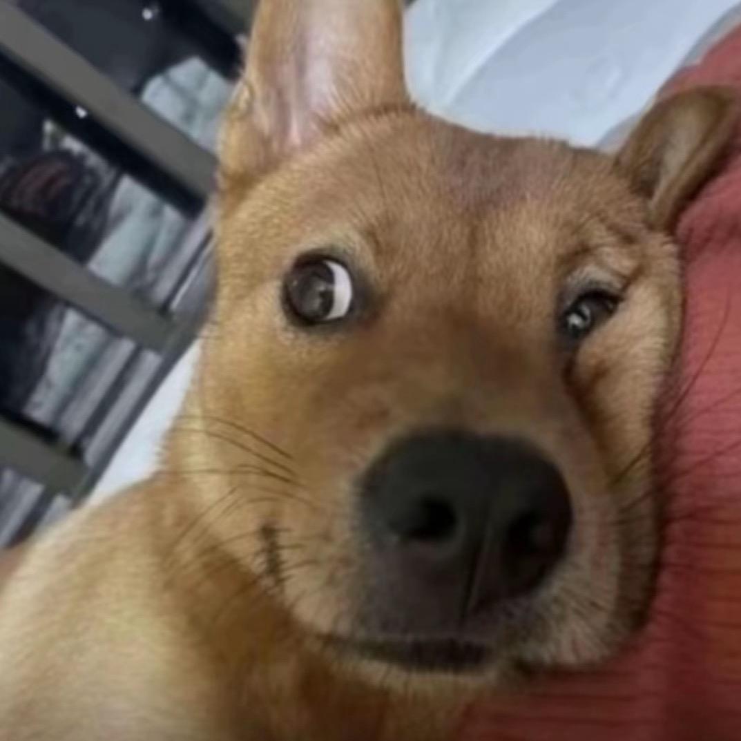 苏州嘉宝市场久久二手车