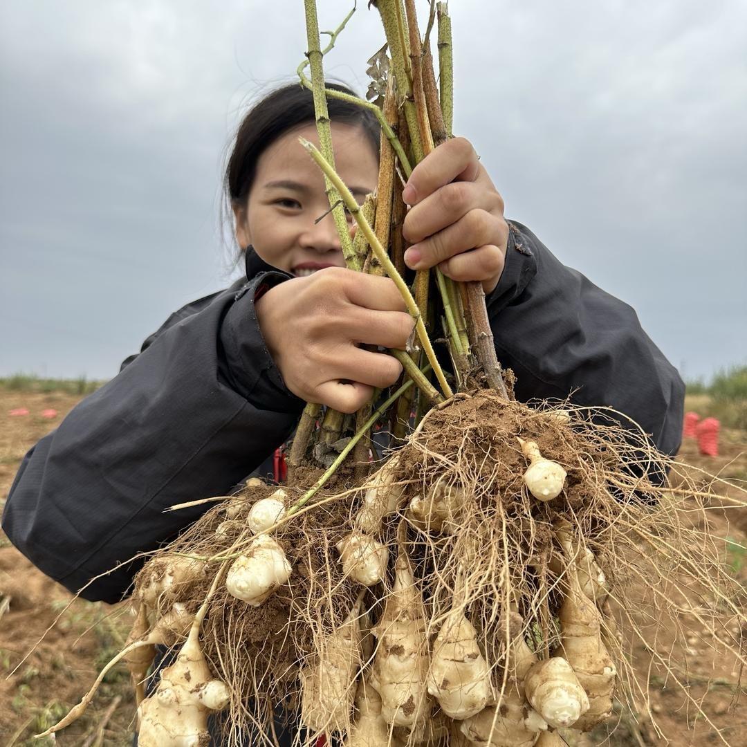 搏航生鲜企业店