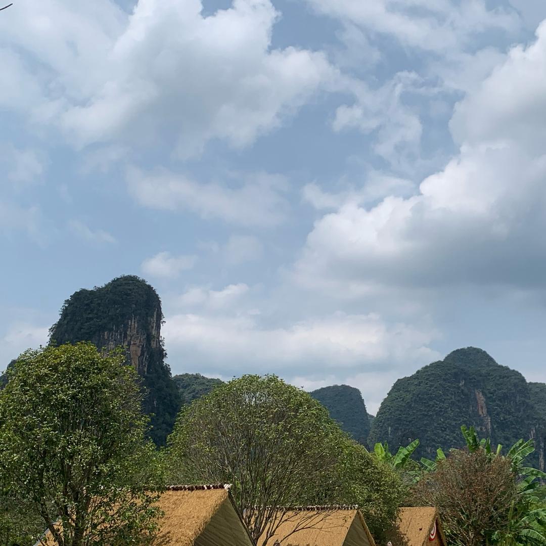 小懒猫