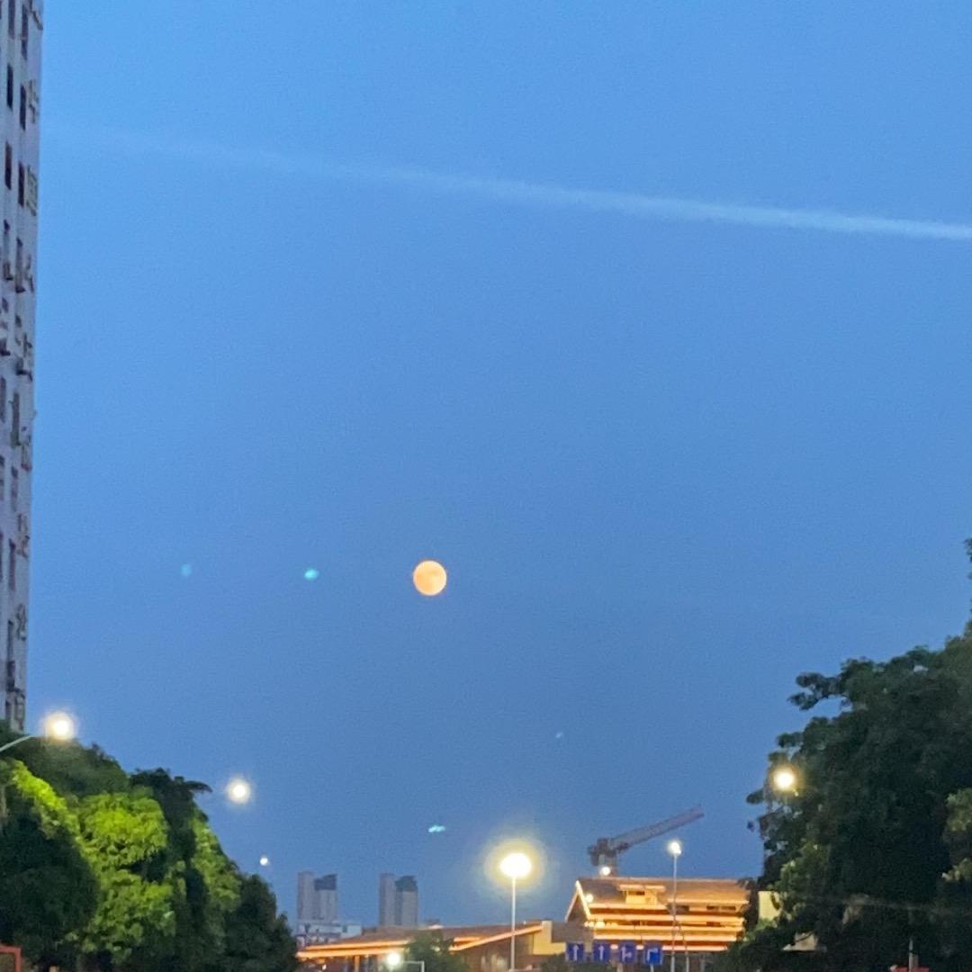 小霞留学规划