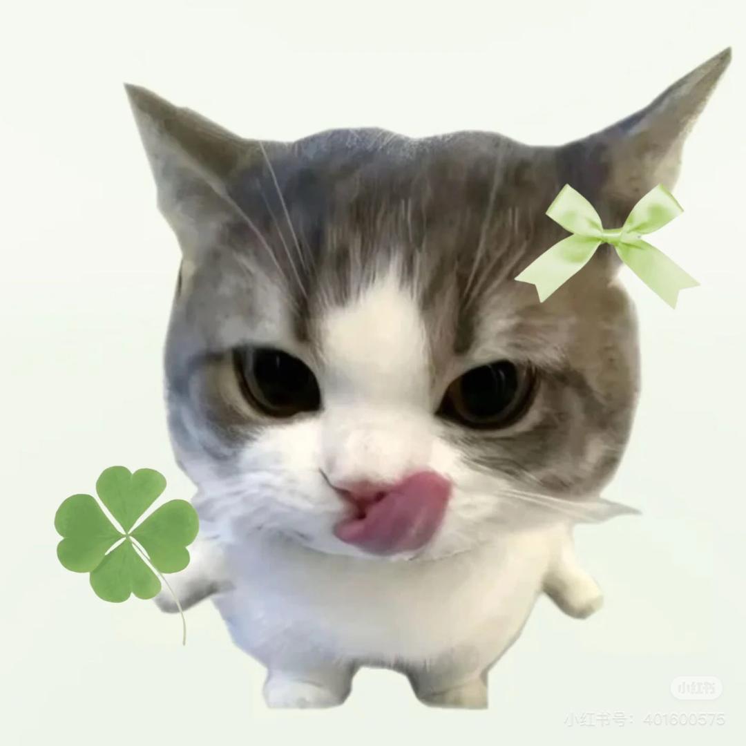 four-leaf clover🍀