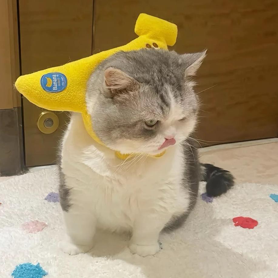 粮油冰室调味品