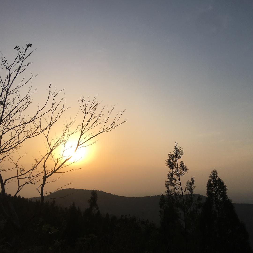沙