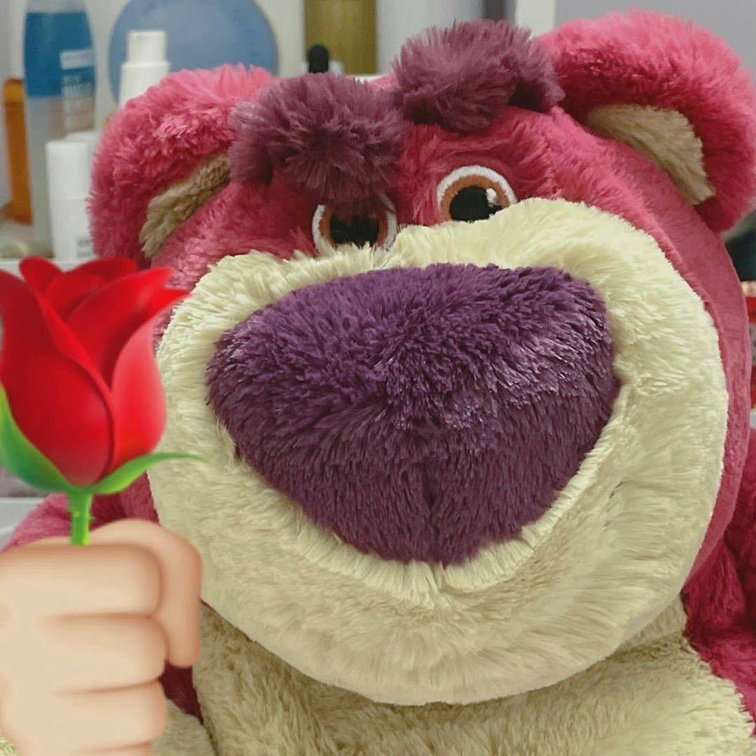 牛奶巧克力小笨b