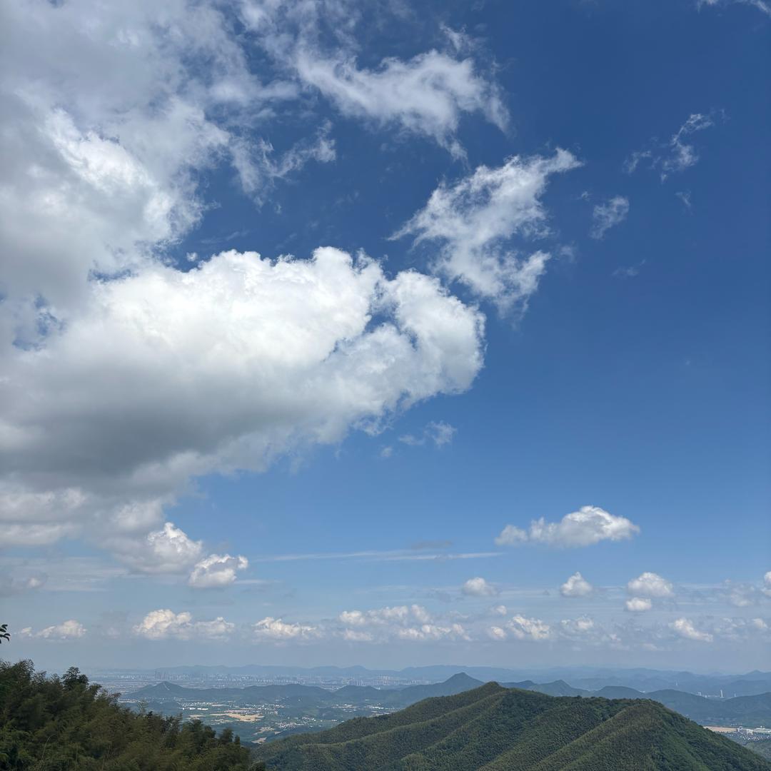 Wen雯雯子