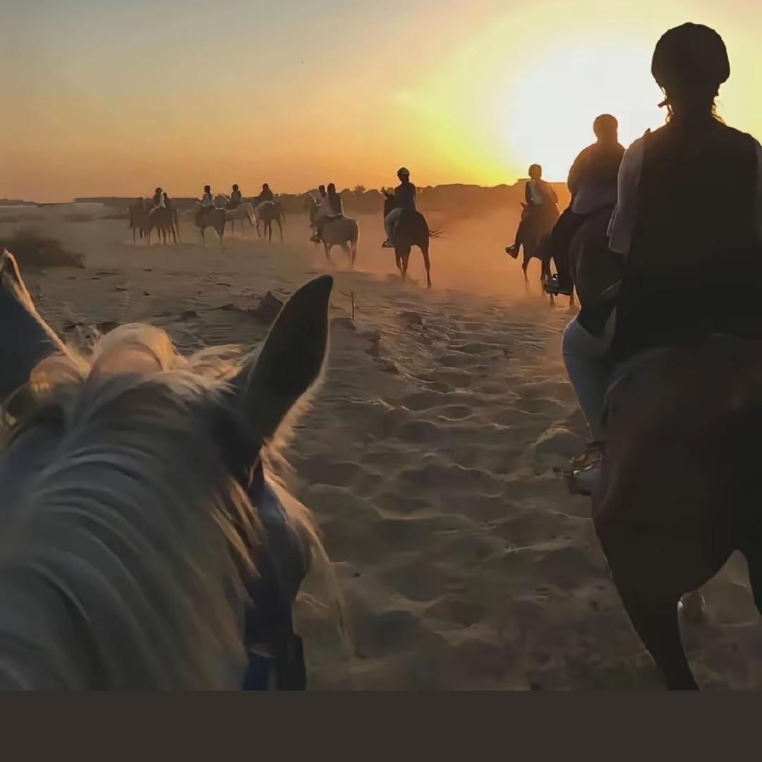 长沙和俊机动车回收