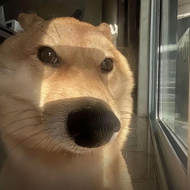 冬天好冷