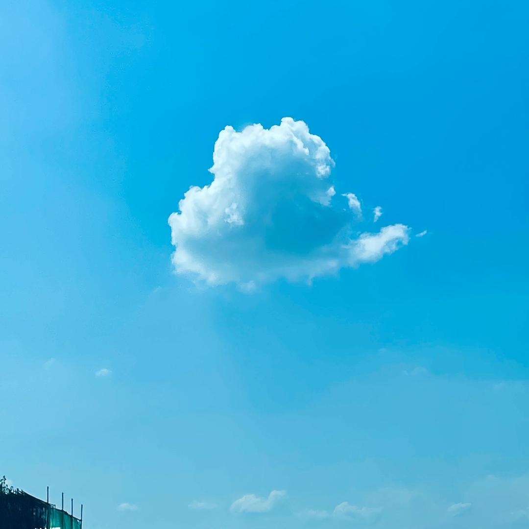 吃不动的小杨