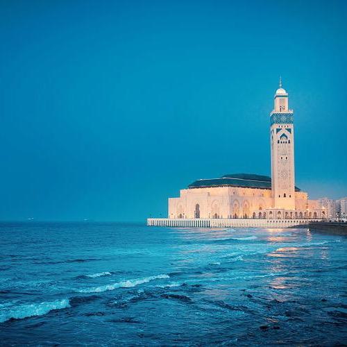 卡萨布蓝卡（小号）