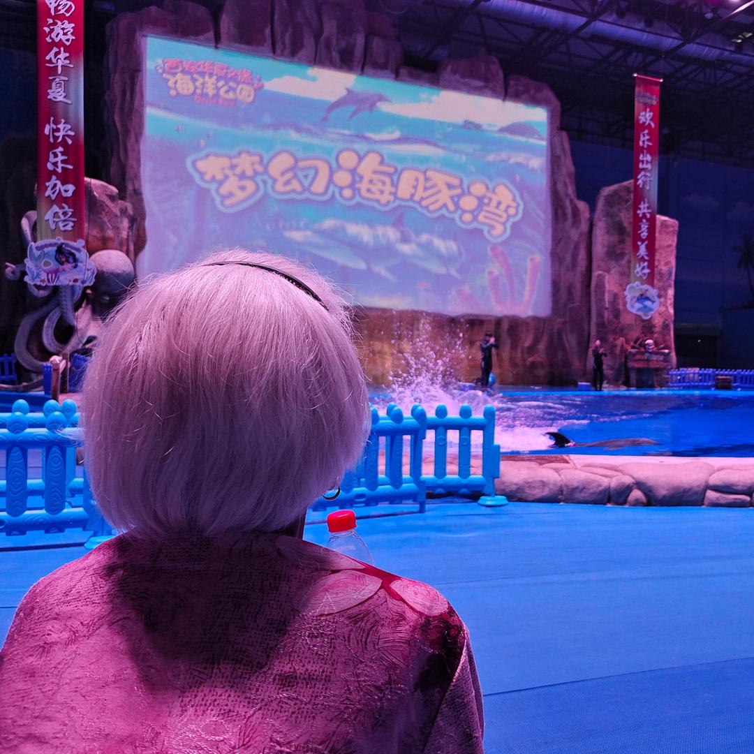康楠楠