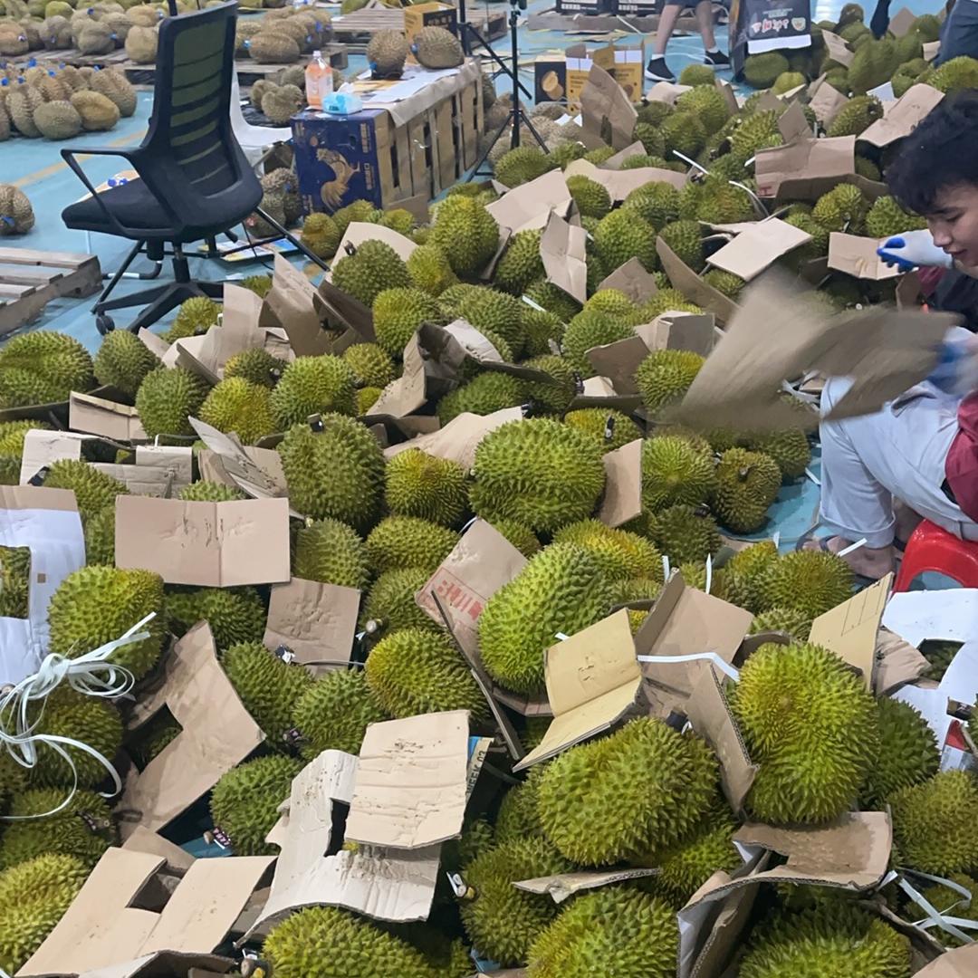 胖墩墩榴莲