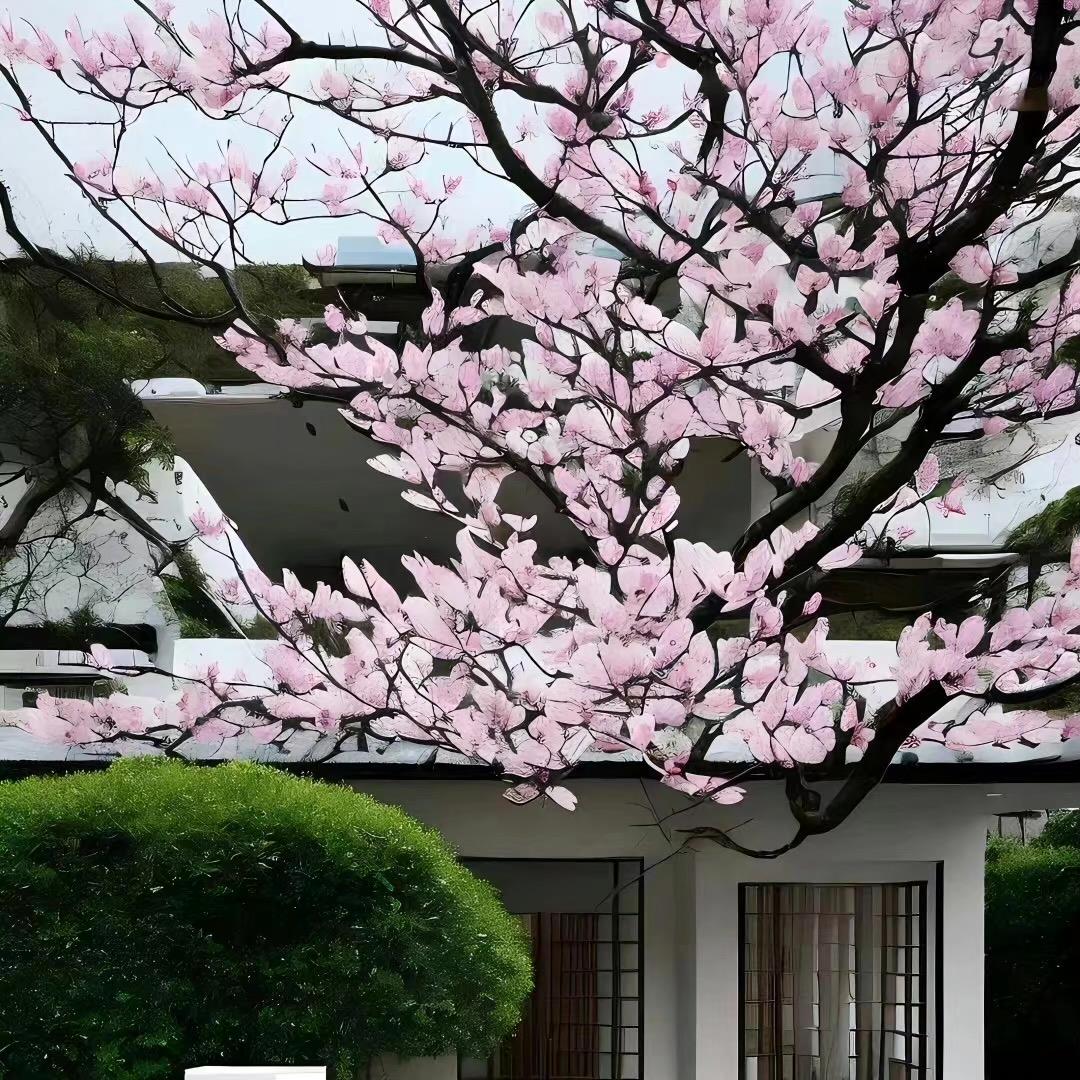 郭萍萍