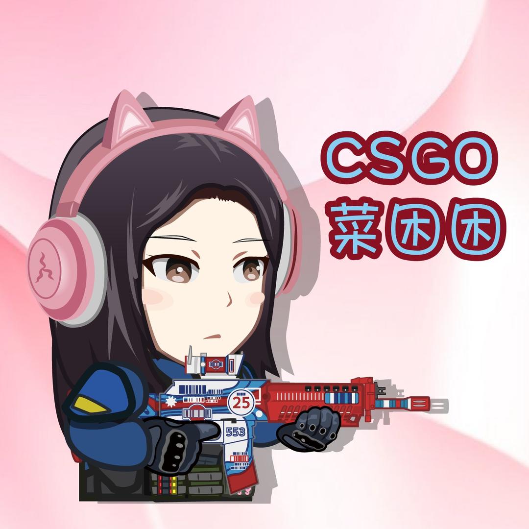 菜困困-CSGO