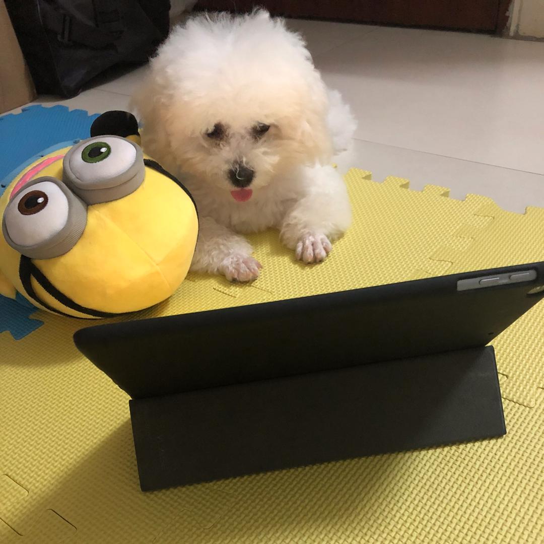 点姐儿睡觉会打呼