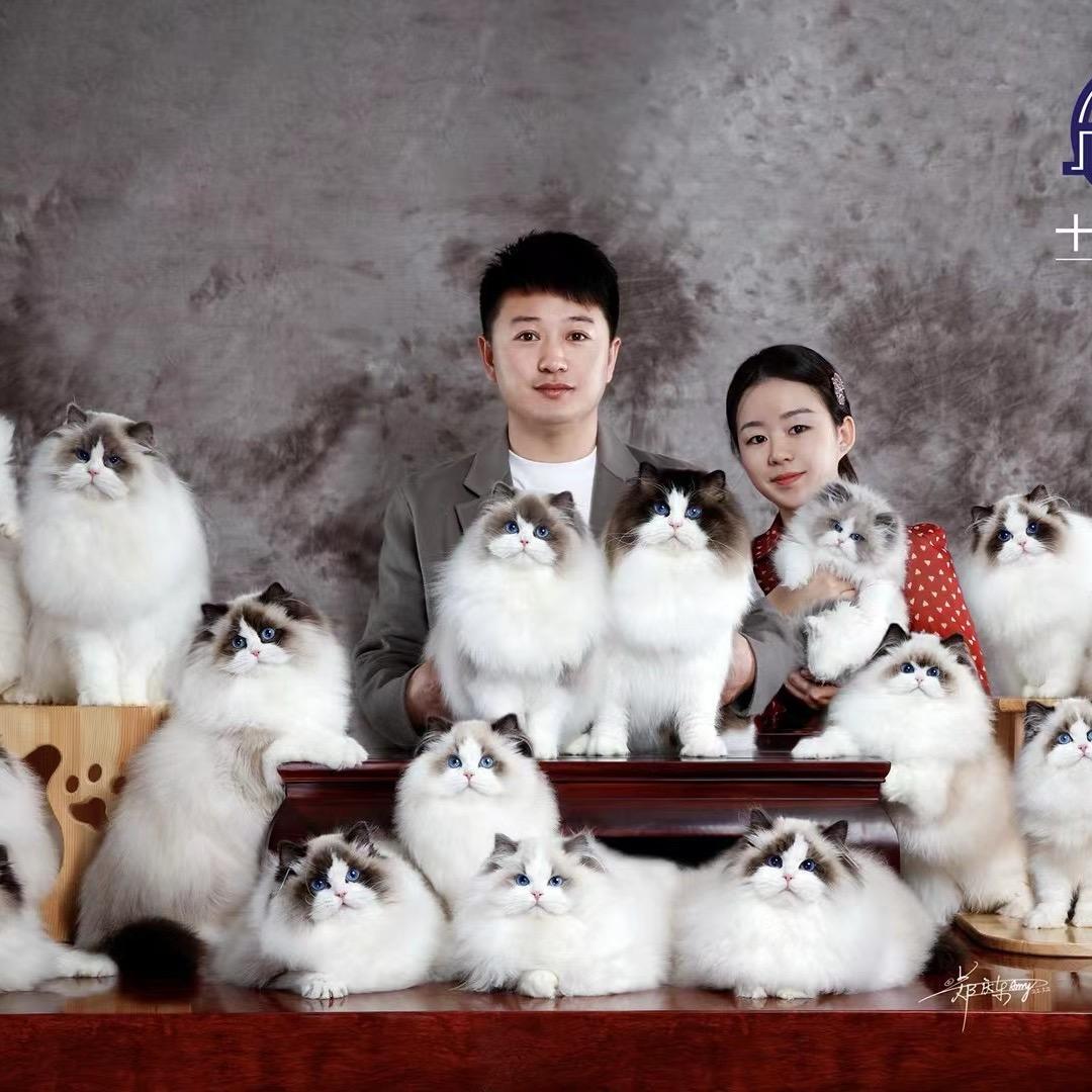 十家恩宠