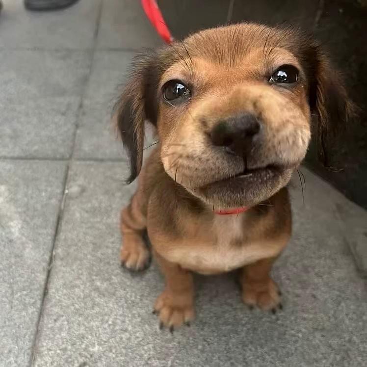 阿玄