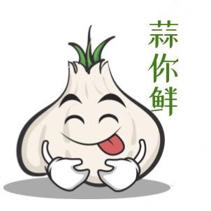 蒜你鲜优选店