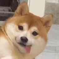 余。