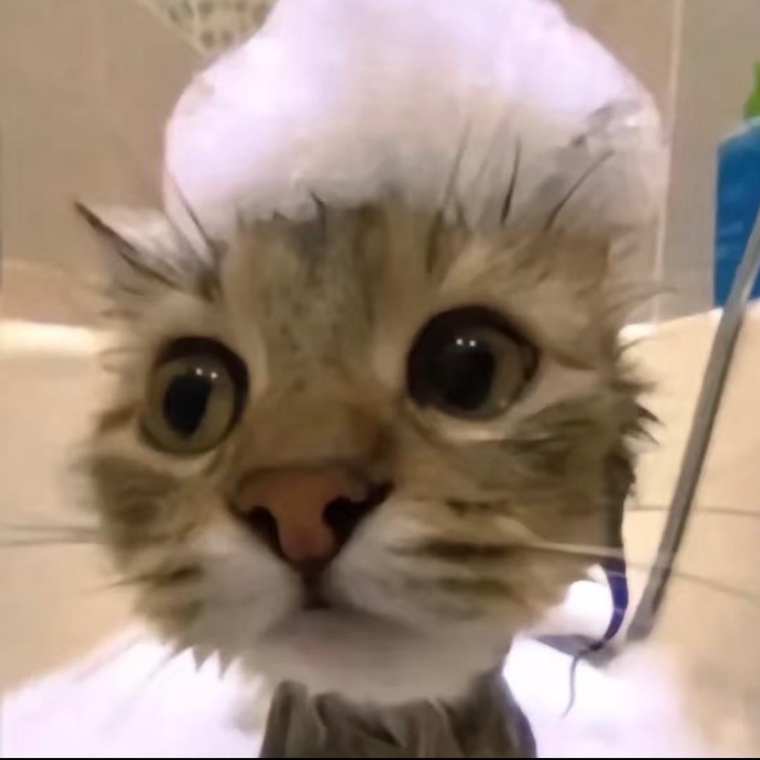 噜噜（上学版）