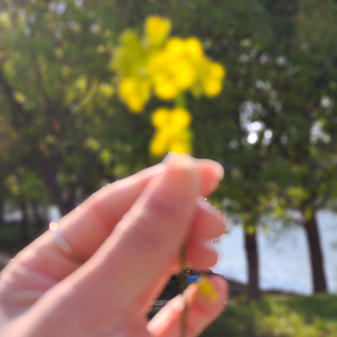 🍃