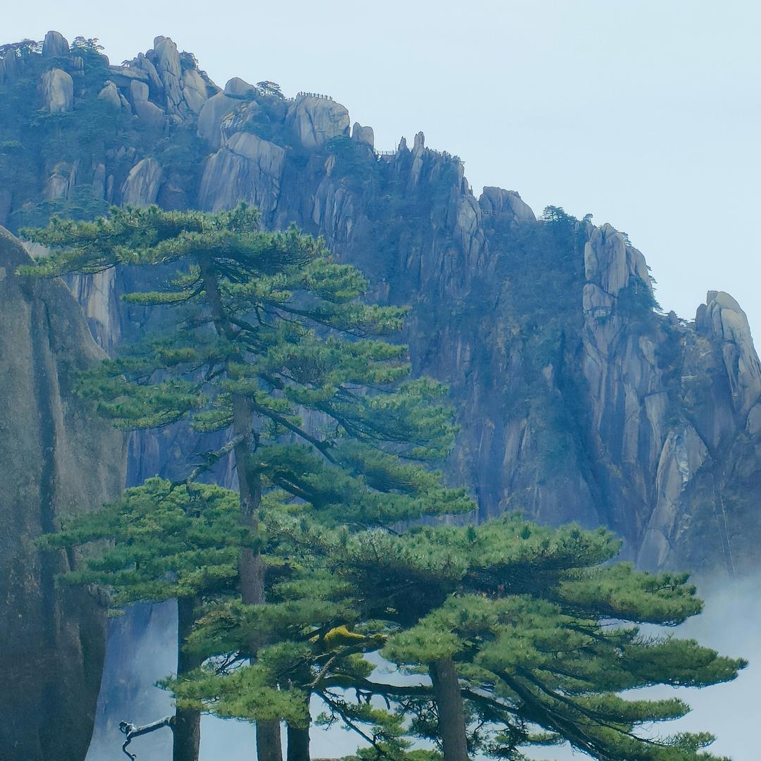 @初夏