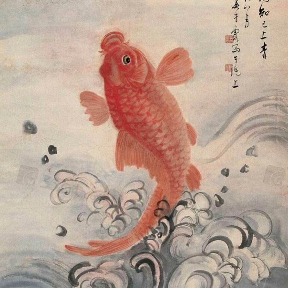 鱼儿