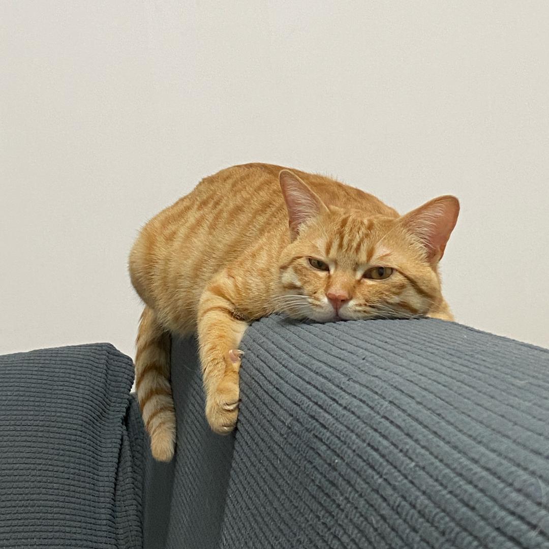 一个用户