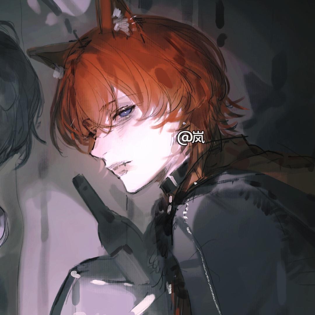 岚