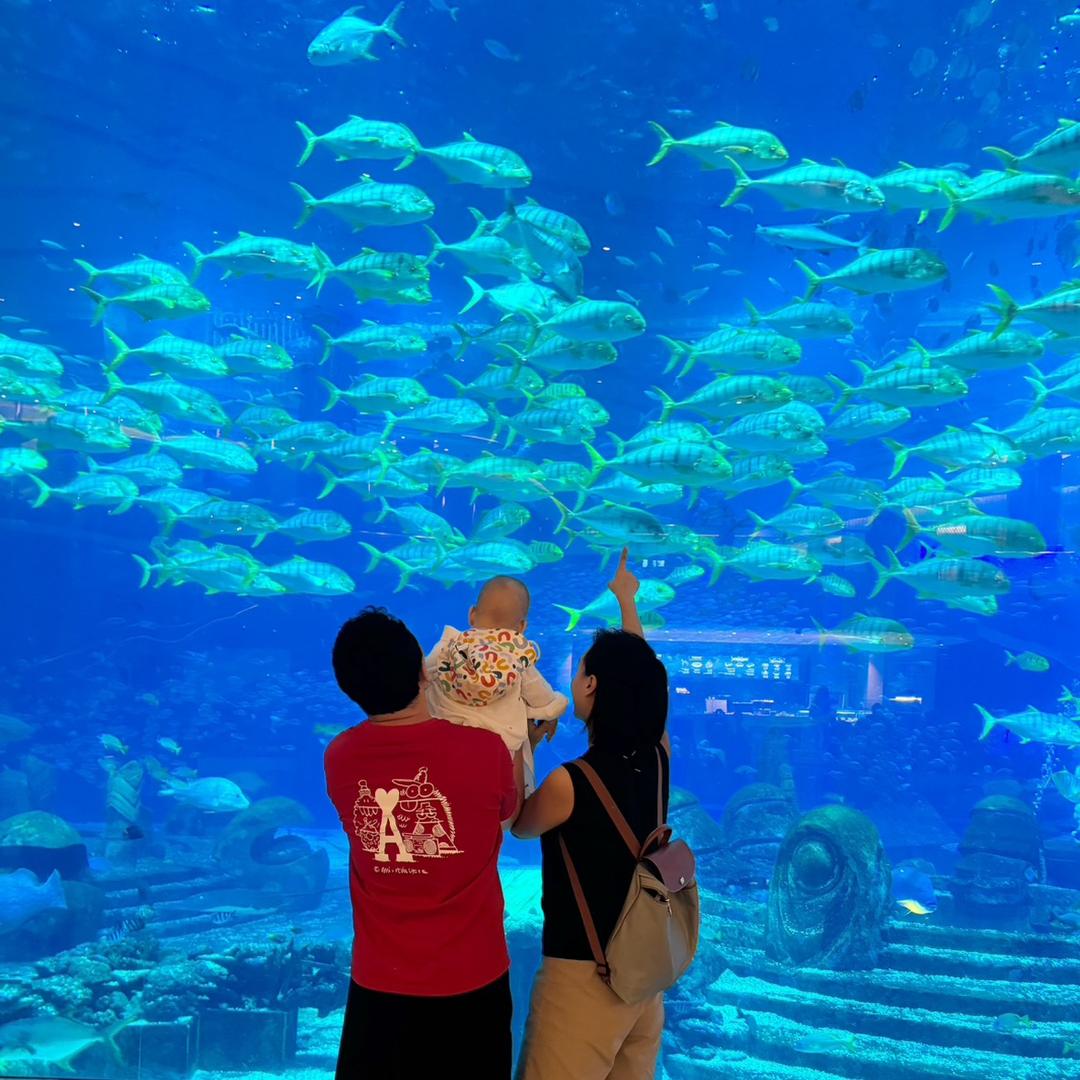 天蝎座的小猴子