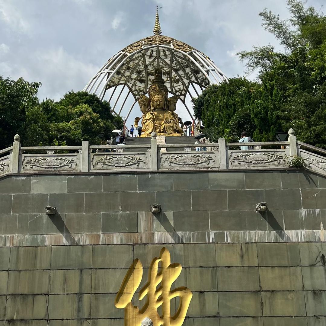 深圳小林