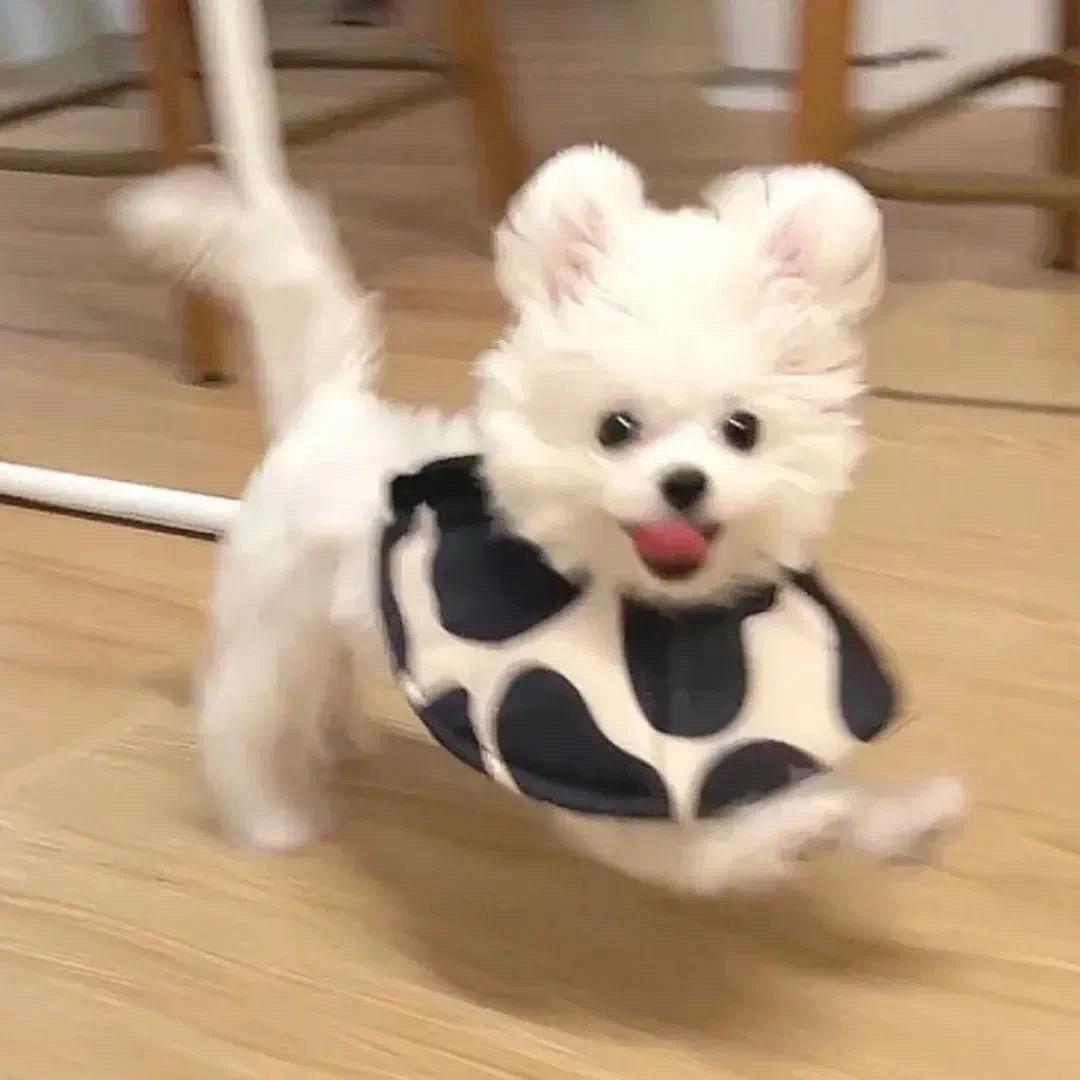 走心小迷妹ﾟoﾟ～