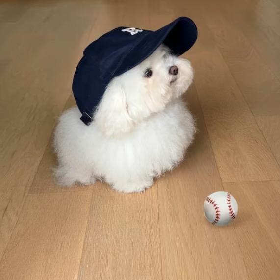 我睡觉的时候不困ㅤㅤㅤㅤㅤㅤ