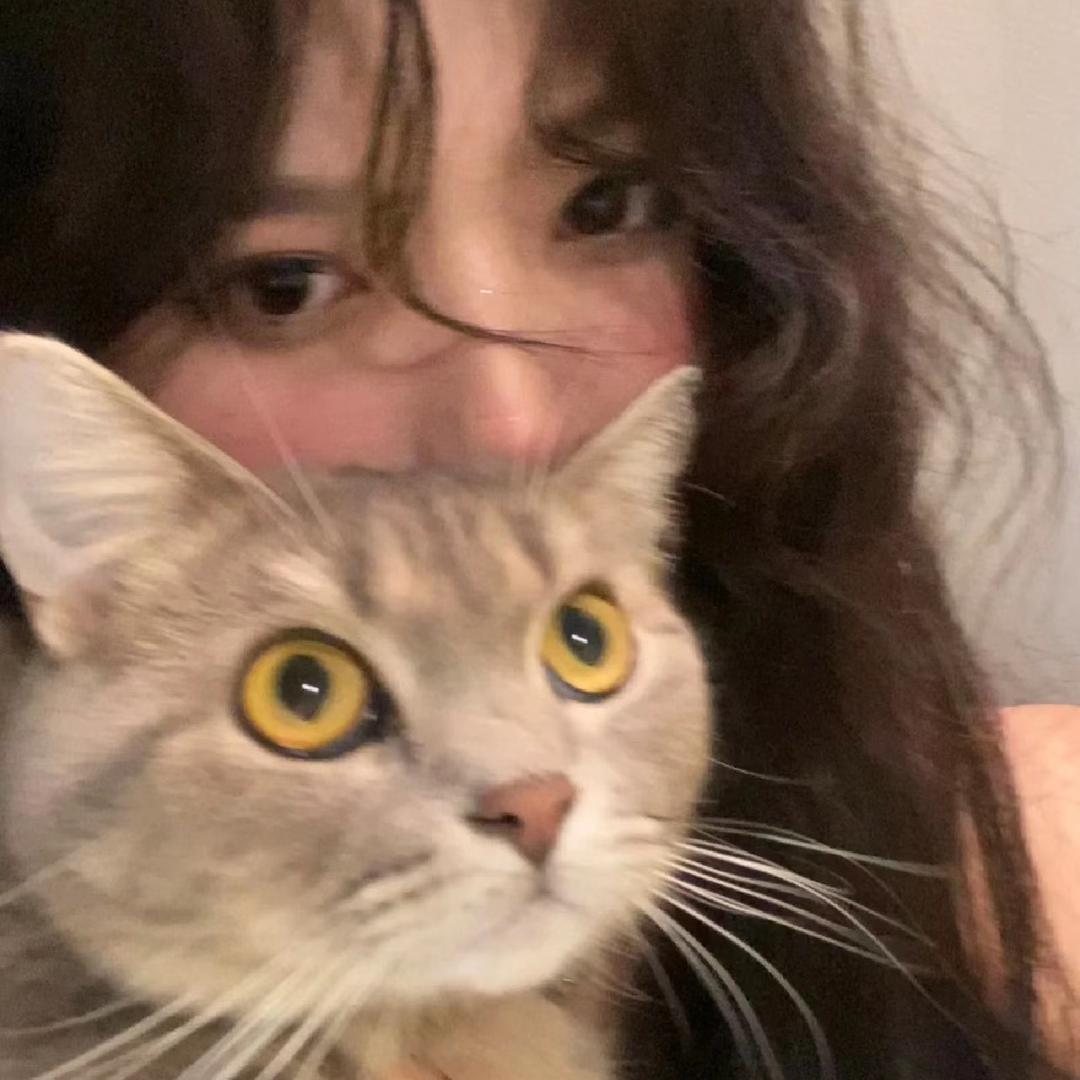 小猫饼