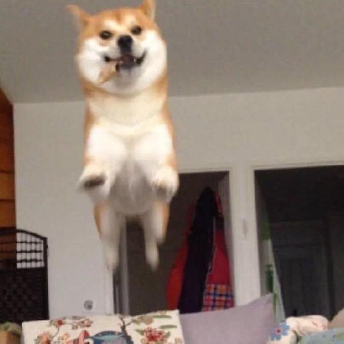 阿龙