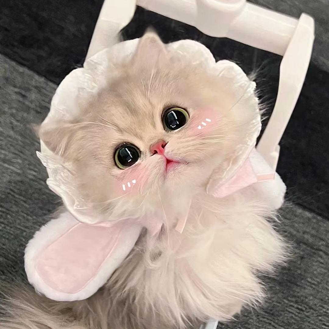 藕偶