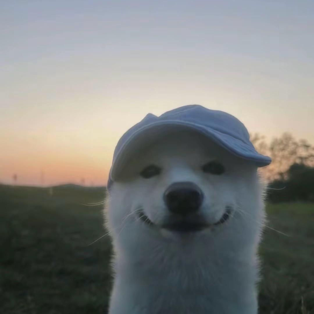豪