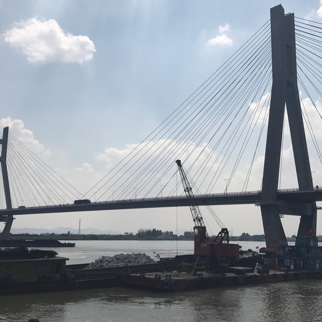 扬州康哥（扬州大房虫）