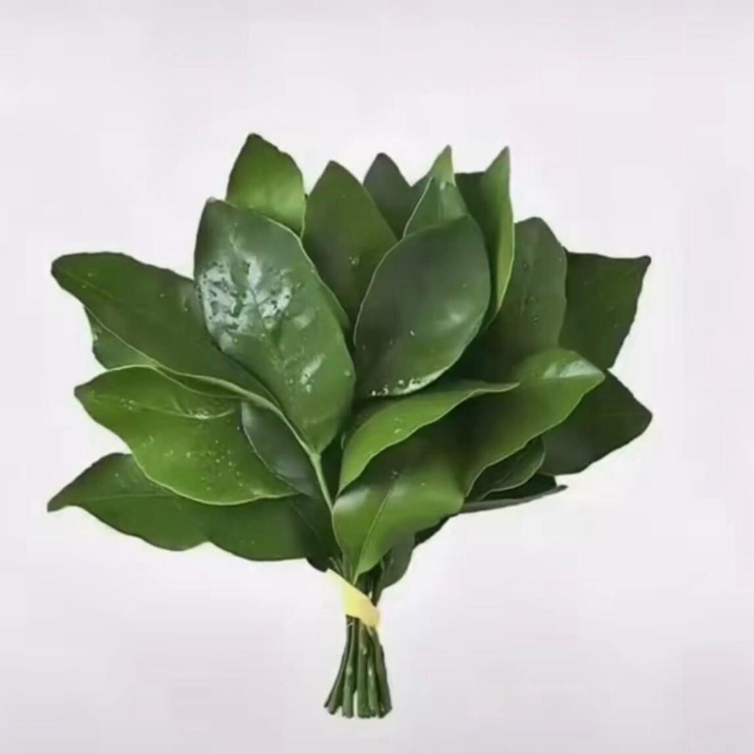 ¥