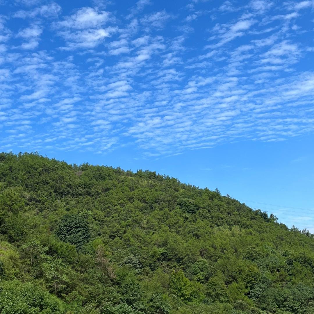 郦焱商贸