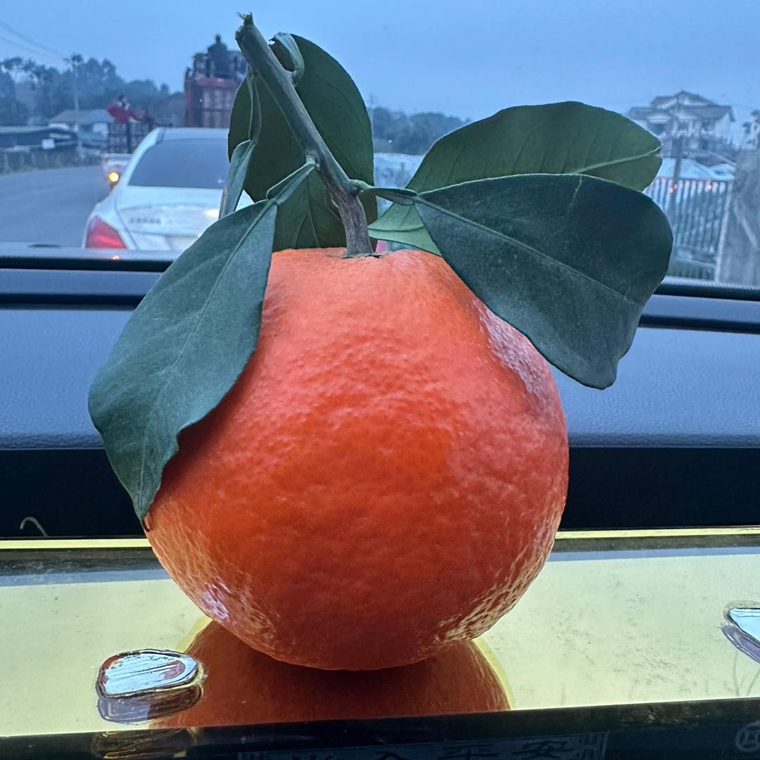 二斌 🍒水果批发代销🍎代卖