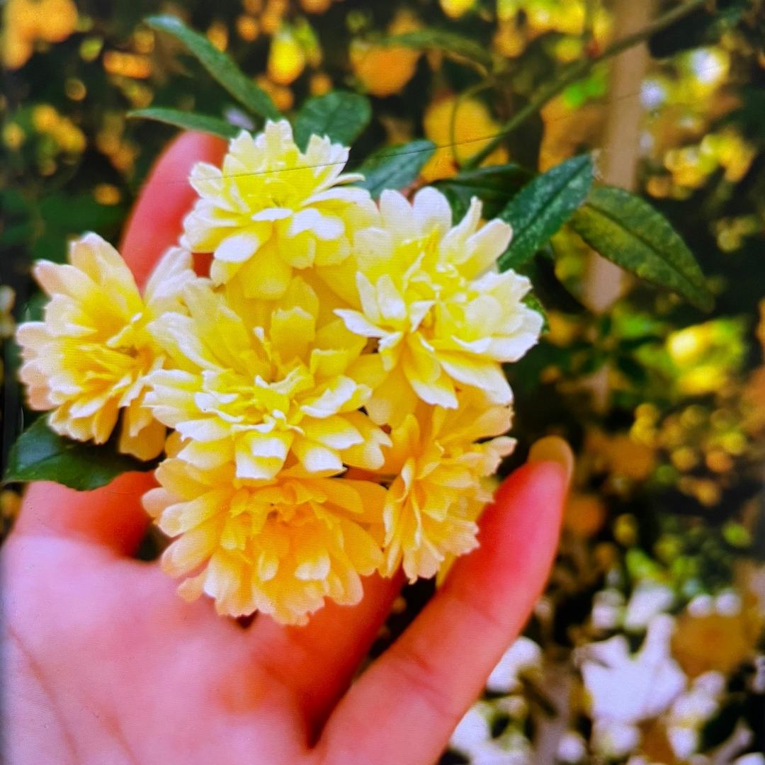 美芽精品服饰商行