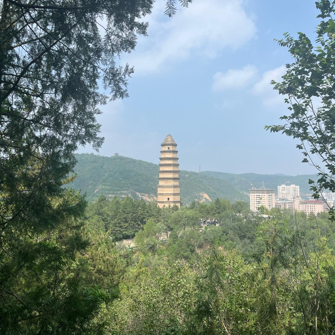 名字就是个代号