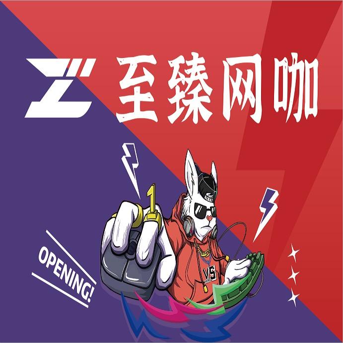安国至臻网咖