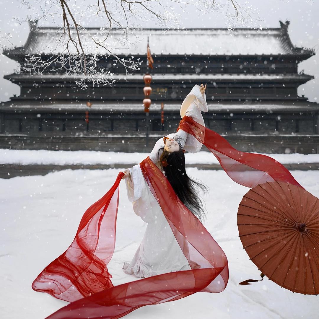 一张白芷❄️