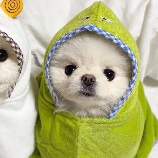 宅宅😘