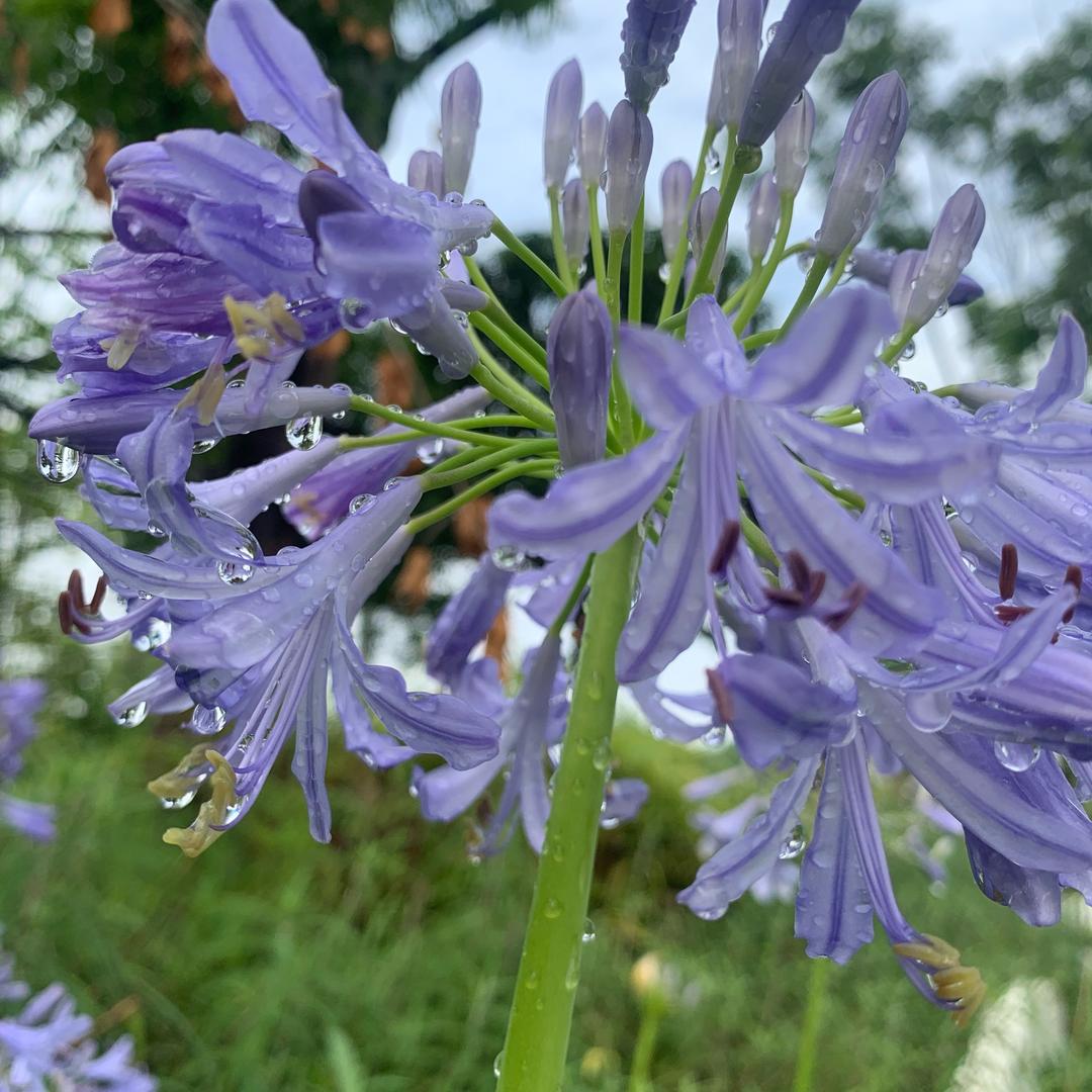 @阿英（学舞蹈中）