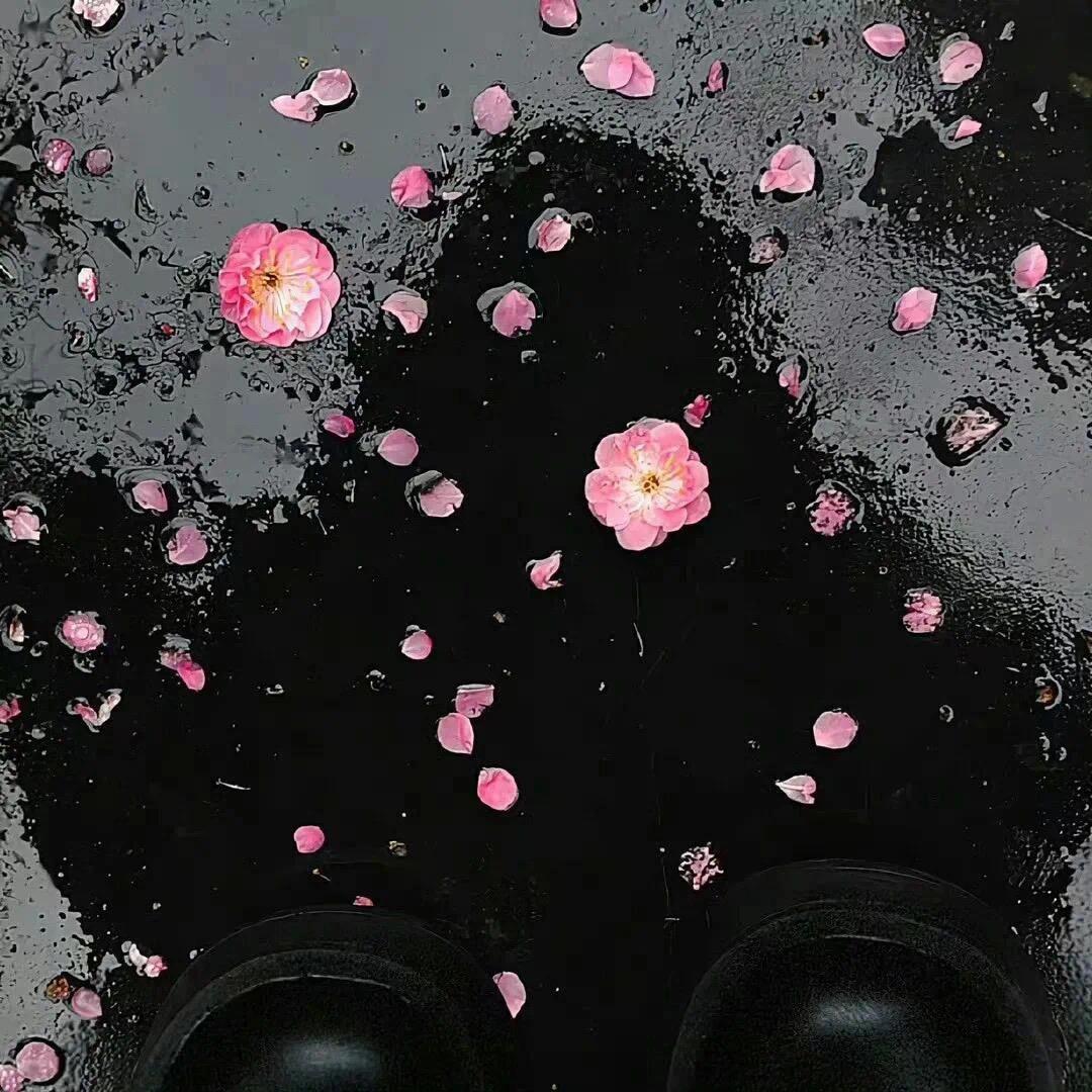 杂七杂八～