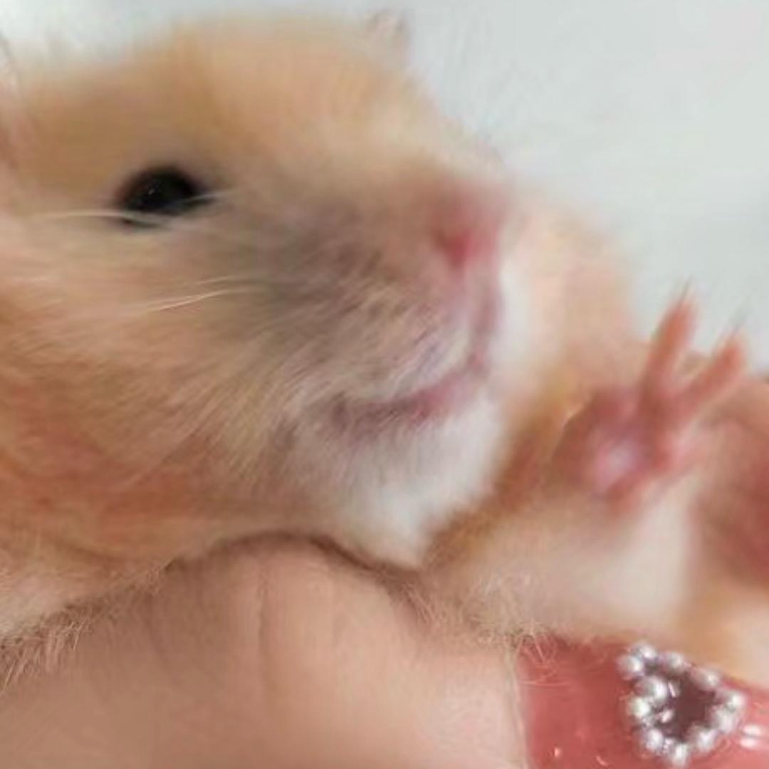 🌈杰大欢喜🌈